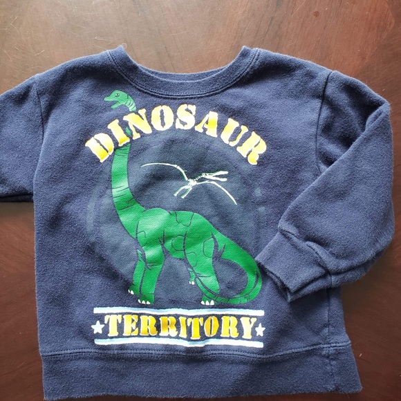 Dinosaur territory sweatshirt - Picture 1 of 4